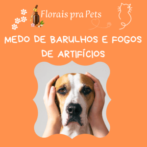 Medo de Barulho e Fogos de Artificios- Floral Pet