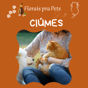 Ciúmes- Floral-Pet
