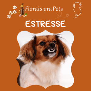 Estresse- Floral Pet