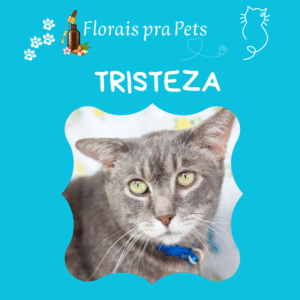 Tristeza- Floral- Pet