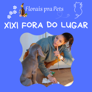 Xixi no Lugar Errado- Floral Pet